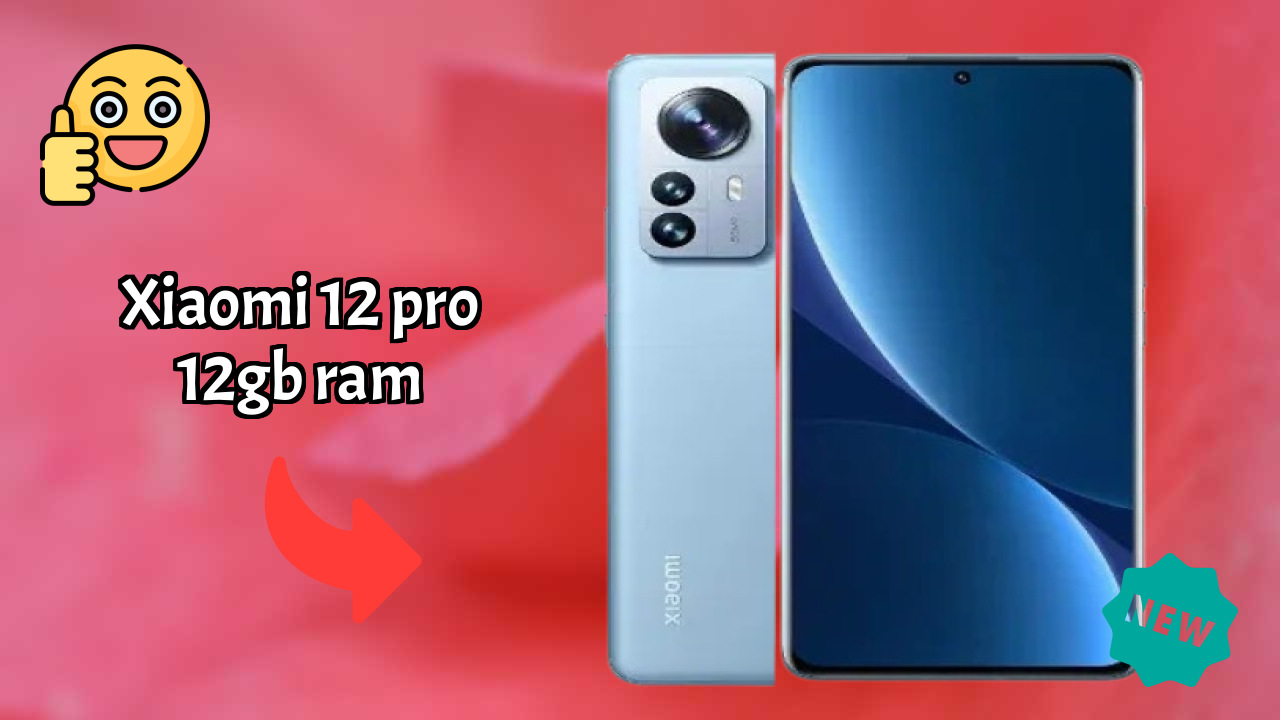 Xiaomi 12 Pro 12GB RAM Camera Test: 50 MP + 50 MP + 50 MP Rear Camera Shoots Stunning Photos